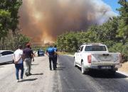 آتش‌سوزی مهیب در جنوب آنتالیا و تخلیه منازل مسکونی +فیلم