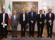 عکس/ ملاقات صمیمانه وزیر امور خارجه با حداد عادل