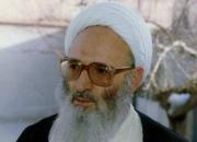 فیلم/ دیدار شهید طهرانی‌مقدم با علامه حسن‌زاده آملی
