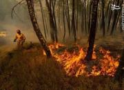 فیلم/ آتش‌سوزی کوه دیل گچساران و خاییز