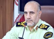 حمل سگ با خودرو غیرقانونی است