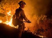 آمار تلفات آتش سوزی مرگبار کالیفرنیا