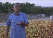 راه‌کارهای تحول صنعت کشاورزی کشور در مستند «میوه ها روی درخت مانده اند»