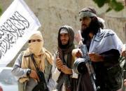 امارات تروریست‌های «القاعده» را در جنوب یمن آزاد کرد