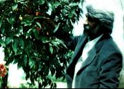  شاعری مثل چشمه در مستند «همزاد عاشقان» از شبکه افق