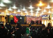 بزرگترین اجتماع شیرخوارگان مهدوی در بوشهر برگزار شد