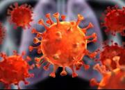 آمریکا روزی ۵۰۰ کشته در اثر کرونا!