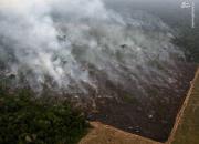 تصاویر جدید از آتش‌سوزی جنگل‌های آمازون