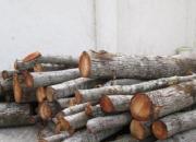 کشف و ضبط 20 تن چوب قاچاق در دزفول 