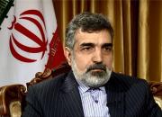 فیلم/ کمالوندی: غرب چاره‌ای جز تعامل با ایران ندارد