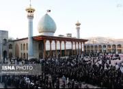 عکس/ عزاداری شهادت امام موسی کاظم(ع) در شیراز