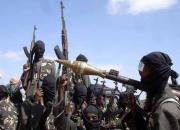 بوکوحرام دست کم ۷ نظامی کامرون را کشت
