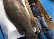 عکس/ صید بزرگ‌ترین ماهی خاردار جهان در اقیانوس هند