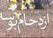 گزارش وضعیت «نرگس» در پیاده‌روی اربعین