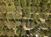 تصویر هوایی متفاوت از قایق سواری در جنگل