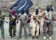 کشته شدن برادر فرمانده گروهک تروریستی جیش الظلم توسط طالبان