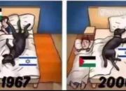 نگاه کاربران چینی به تحولات فلسطین+ عکس