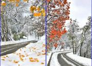 عکس/ تلفیق زیبای پاییز و زمستان