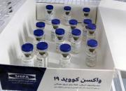 ماجرای پیدا شدن ویروس زنده در واکسن ایرانی