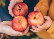 سیب خوردن روزها باعث لاغری می‌شود یا شب؟