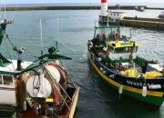 تشدید اختلافات فرانسه با انگلیس بر سر مجوزهای ماهیگیری