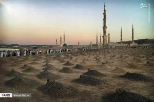 فلیم/ «غریبانه»؛ از بقیع تا طوس با نوای سید رضا نریمانی