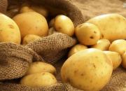فیلم/ چالش قیمت سیب‌زمینی در گلستان