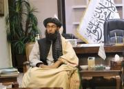 طالبان: هیچکس حق نقض حریم شخصی مردم را ندارد
