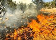 آتش‌سوزی جنگل‎های گیلان پس از ۳ روز مهار شد