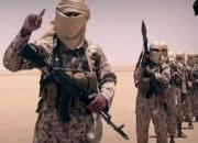 دستگیری ۳ زن داعشی در کرکوک عراق