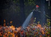 عکس/ گرمای کم سابقه و آتش سوزی در فرانسه