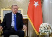 فیلم/ اردوغان: سازمان‌های تروریستی بلای هر ۲ کشور هستند