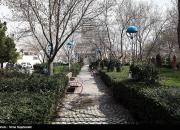 تعطیلی ۲۲۲۶ بوستان در تهران تا اطلاع ثانوی
