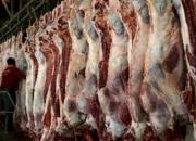 جدول/ قیمت گوشت قرمز منجمد وارداتی در میادین