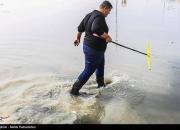 عکس/ تلاش برای مهار آبگرفتگی در خوزستان
