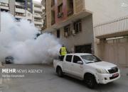 عکس/ مه‌پاشی و سم‌پاشی علیه پشه «آئدس»