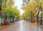 عکس/ پاییز دیدنی شیراز