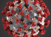 آخرین آمار مبتلایان به کرونا به تفکیک کشورها +جدول