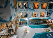 عکس/ افتتاح اولین هتل خرس‌های قطبی