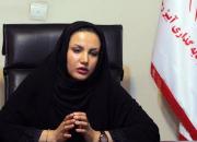 «خانم سادات» برداشتی آزاد از زندگی شهید حاجی‌حسنی است/ بسیاری از اعتراضات صحت ندارد