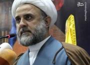 عضو حزب‌الله: نخست‌وزیری «حسان دیاب» راه را بر آمریکا بست
