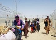 وضعیت اسفناک کمپ آوارگان افغانستانی +عکس