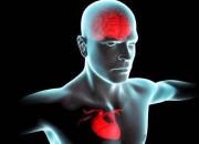 فاکتورهای پرخطر قلبی با ریسک ابتلا به زوال عقل مرتبط هستند