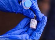 نتایج فاز یک مطالعاتی واکسن «کوویران» اعلام شد