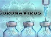 روسیه مدعی کشف ژنوم ویروس کرونا شد