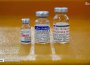 تکذیب تزریق واکسن به طلاب قم بدون محدودیت سنی