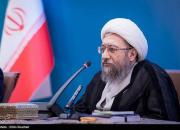 آیت‌الله آملی لاریجانی: اروپایی‌ها در موضوع حقوق بشر صداقت ندارند