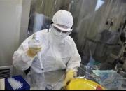 احتمال شیوع یک بیماری دیگر در چین