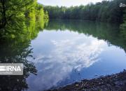 عکس/ دریاچه‌ای دیدنی در دل جنگل‌های شمال