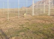 نخستین تصویر از یوزپلنگ ایرانی در منطقه حفاظت شده
